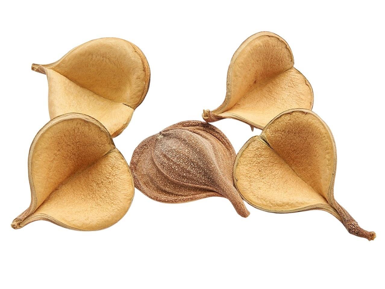 Pereiro Pintado 150gr.