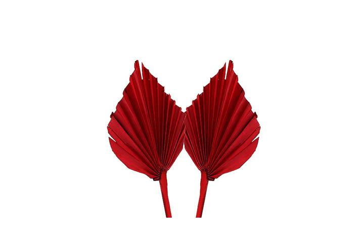 Palmspeer mini B8 H12 L35cm rot