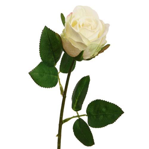 Rosenpick halboffen cream L46cm