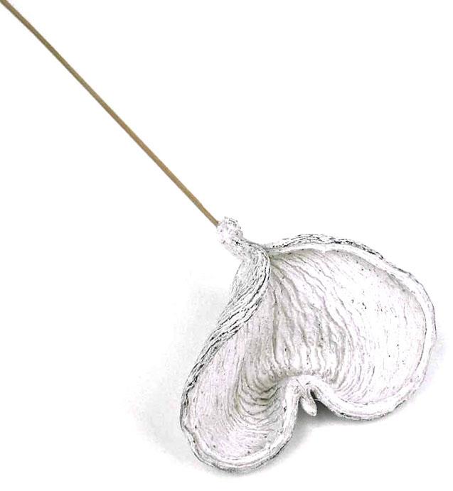 Badam gestielt D8-10H7-9L40cm white washed