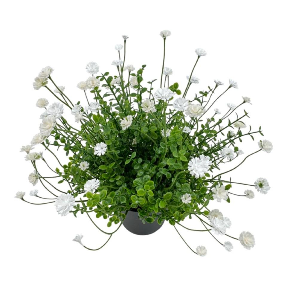 Gypsophiliabusch im Topf 24 cm weiss