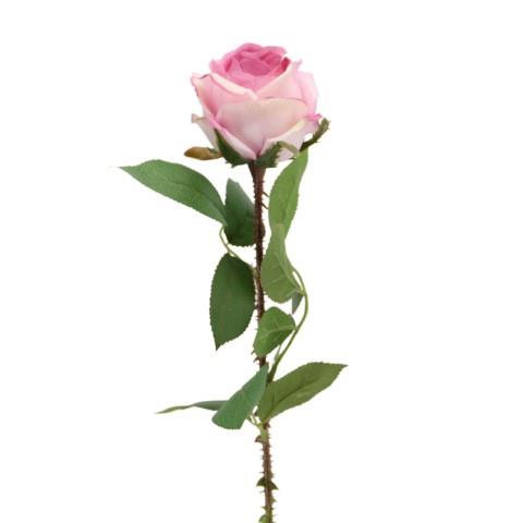 Rose 60 cm lila