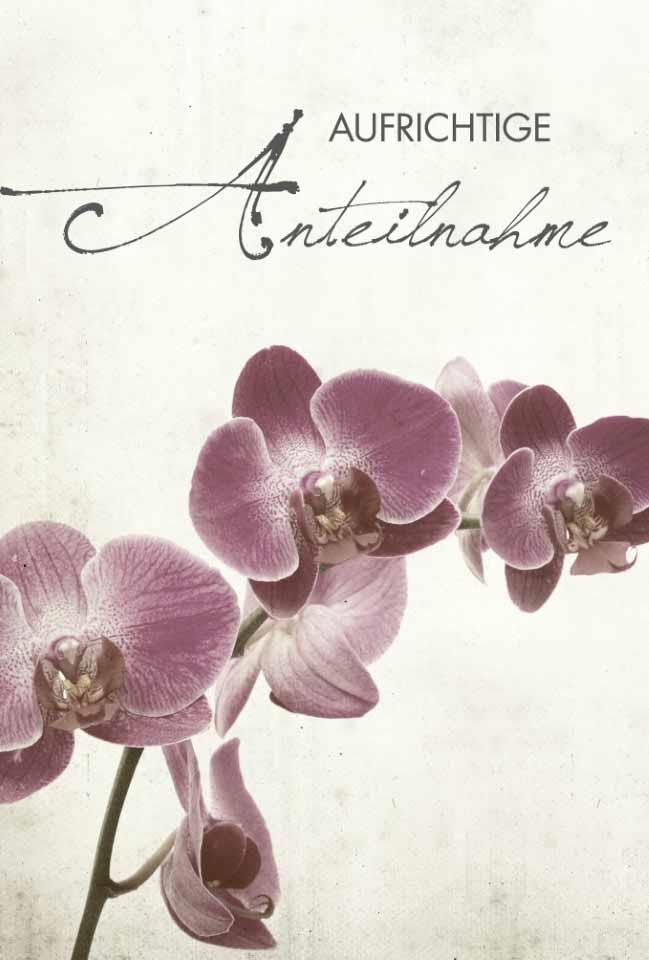 Trauerkarten Aufrichtige Anteilnahme 11,5x17 cm Trauerkarten Aufrichtige Anteilnahme 11,5x17 cm