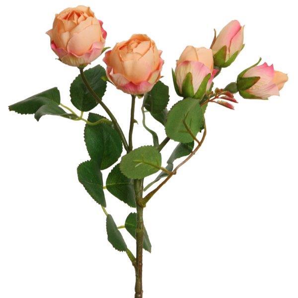 Rose x 5, 39cm peach