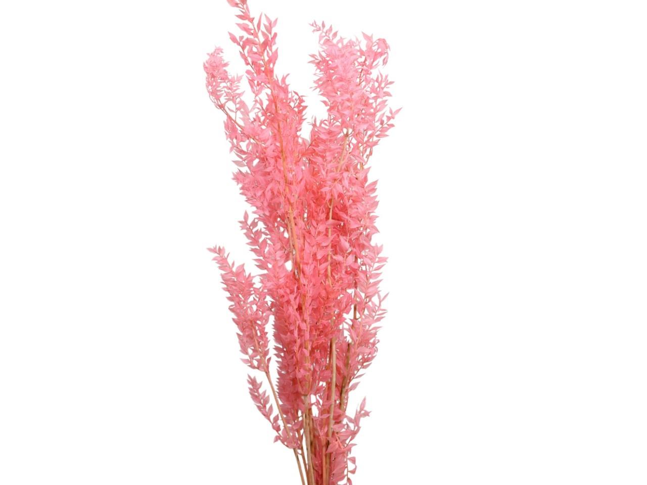 Ruskus 300 gr. zartrosa Ruskus 300 gr. zartrosa
