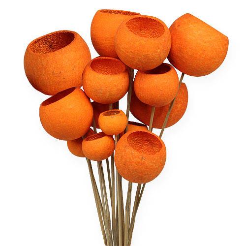 Bell Cup gestielt D7 L55cm orange
