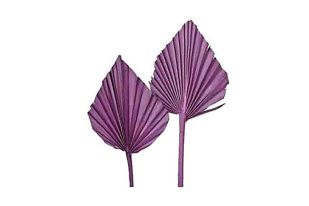 Palmspeer mini B8 H12 L35cm brombeer