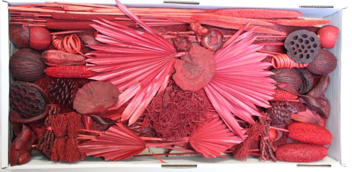 Exotensortiment indisch rot großer Karton