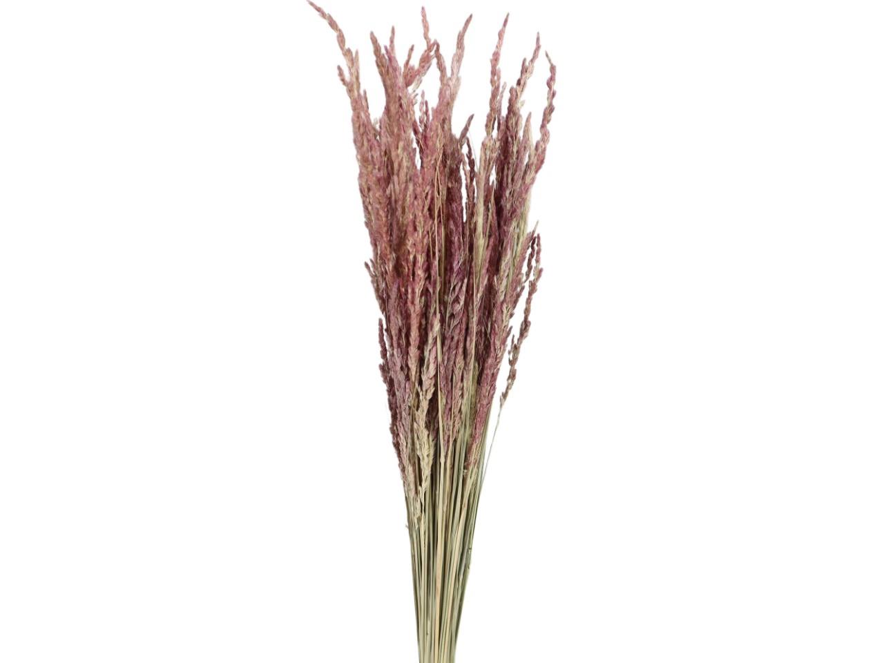 Cristina Gras 150gr. natur-rose