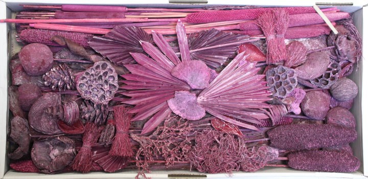 Exotensortiment indisch brombeer frosted groß 100 Stück