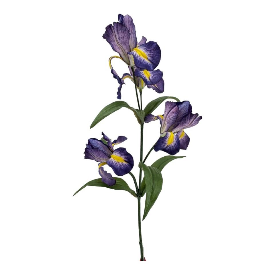 Iriszweig x4Blüten blau