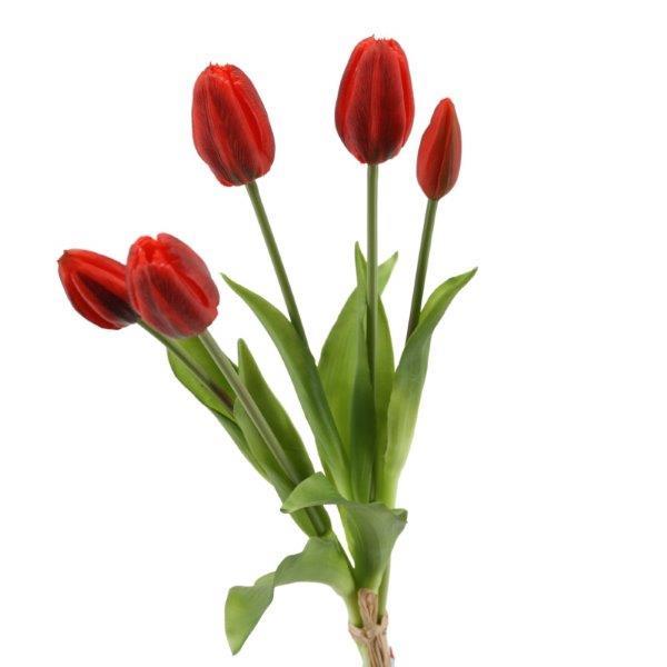 Tulpenbund x 5,  39 cm rot