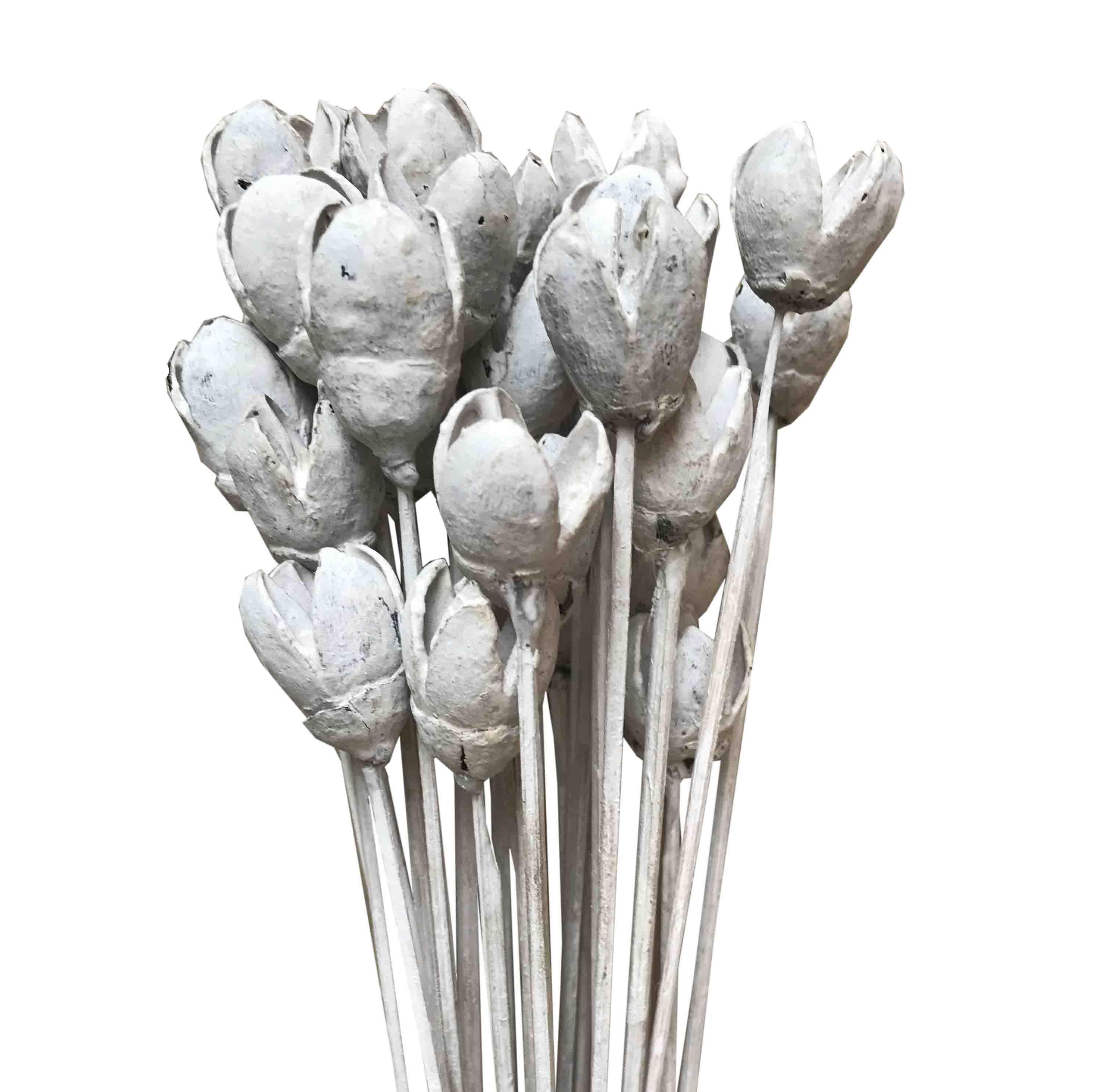 Zapfen Bakali gestielt white washed
