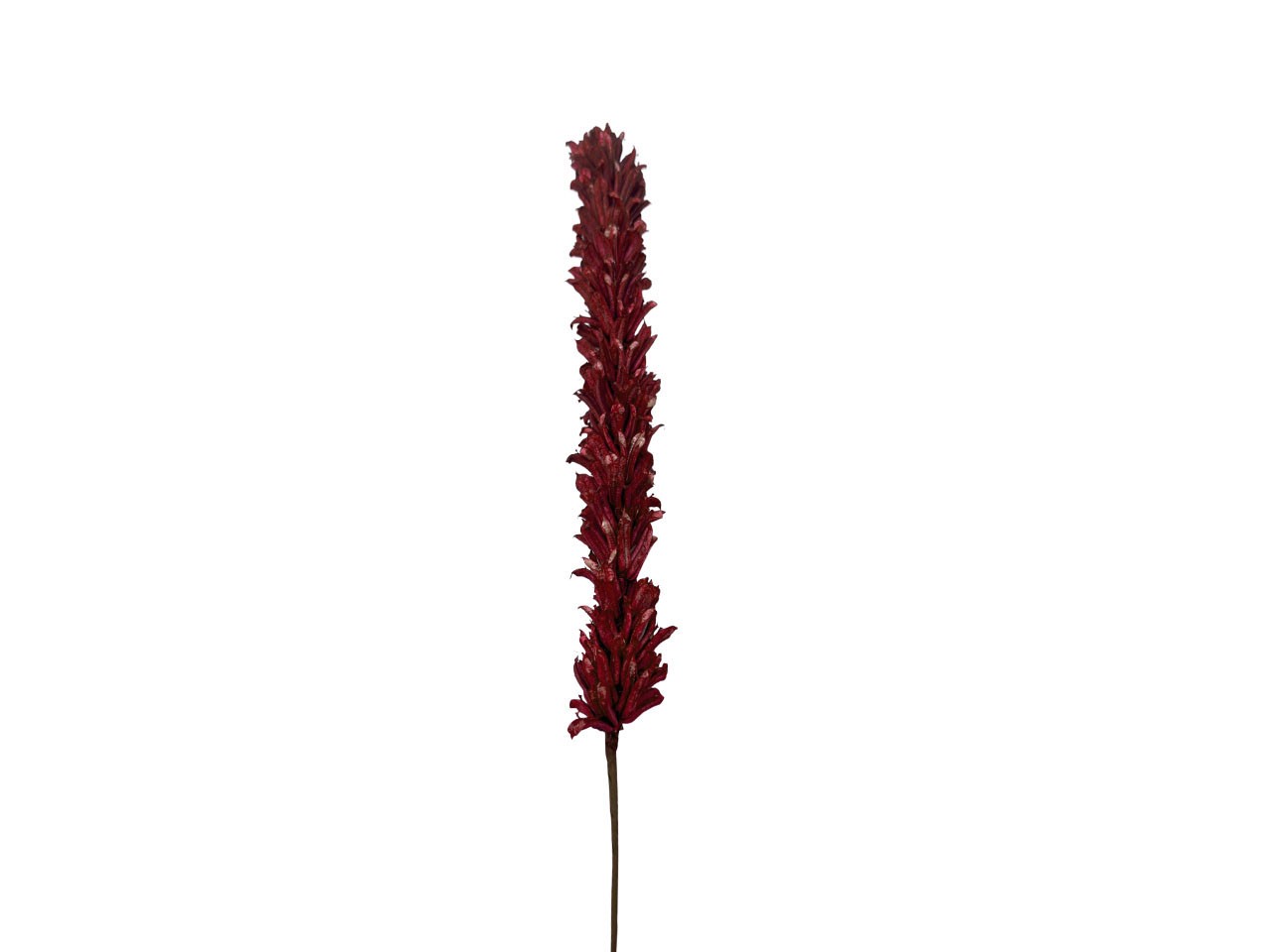 Sesa Stick Sola D4cmH30L60cm bordeaux