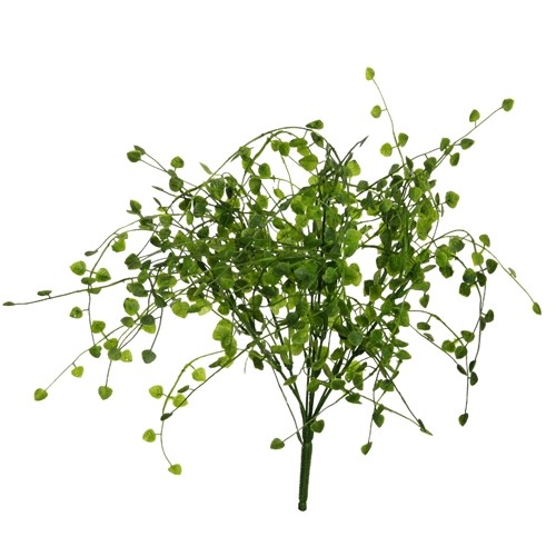 Ceropegiabusch 42cm grün