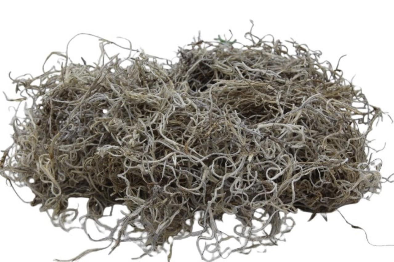 Dschungelmoos natur 1kg Dschungelmoos natur 1kg