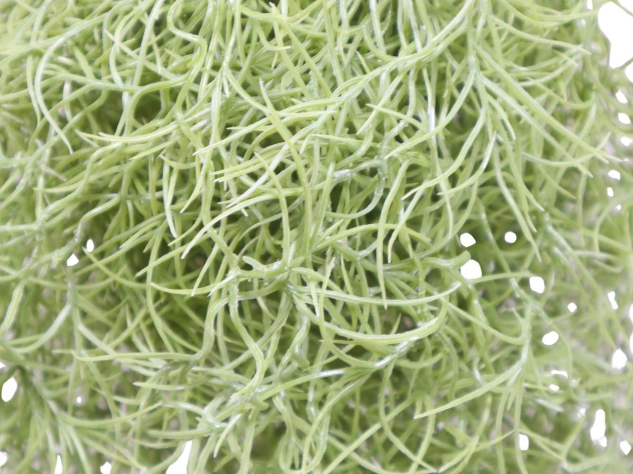 Tillandsienpflanze hängend grau-grün L75cm Tillandsienpflanze hängend grau-grün L75cm