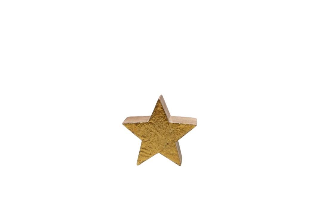 Stern stehend Mangoholz gold D10x3,5cm Stern stehend Mangoholz gold D10x3,5cm