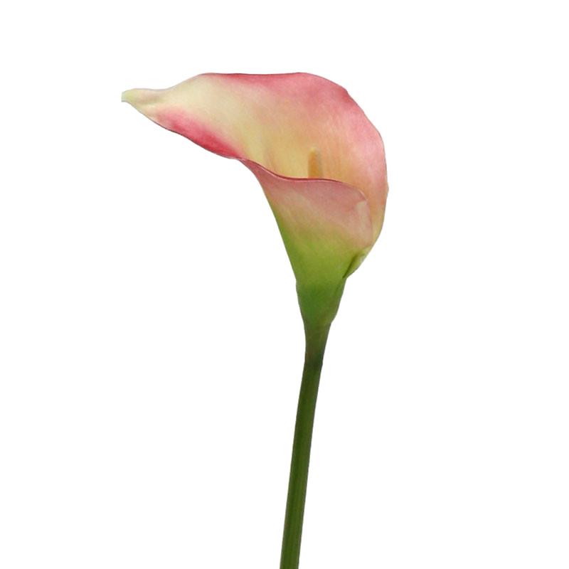 Calla-Lilie, 57cm rosa