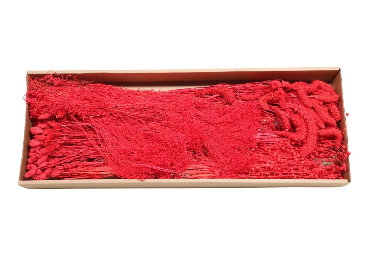 Gräser sort. 350 gr. rot Gräser sort. 350 gr. rot