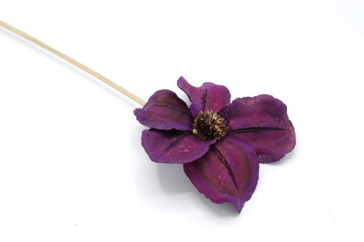Blüte Jacaranda D10cm gestielt brombeer