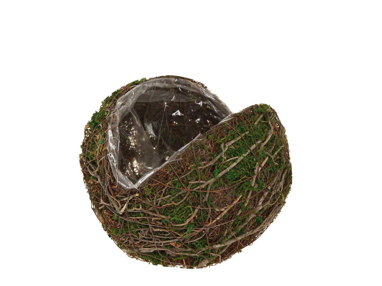 Kugel z. Pflanzen Rebe-Moos D25cm