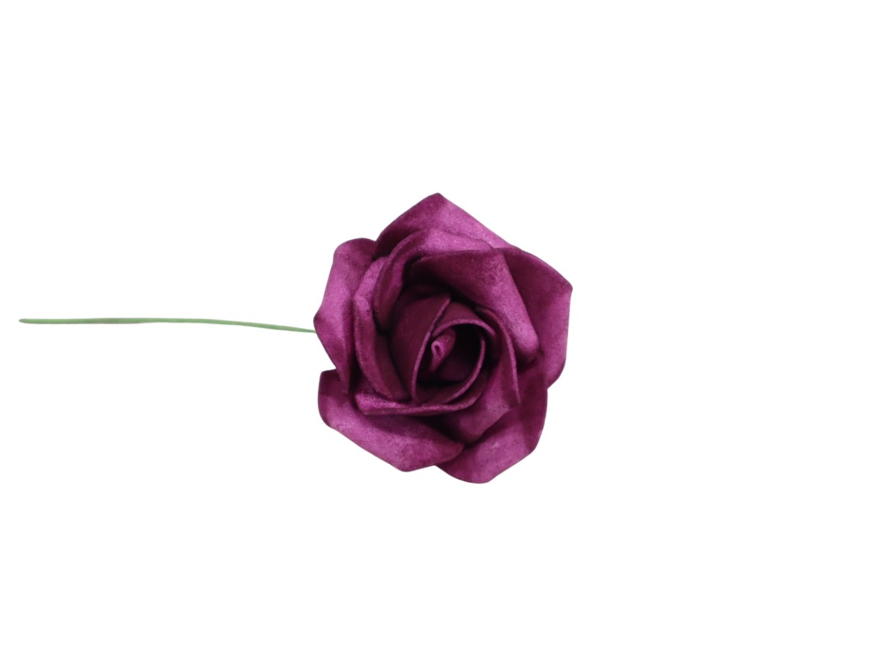 Rosen 6cm