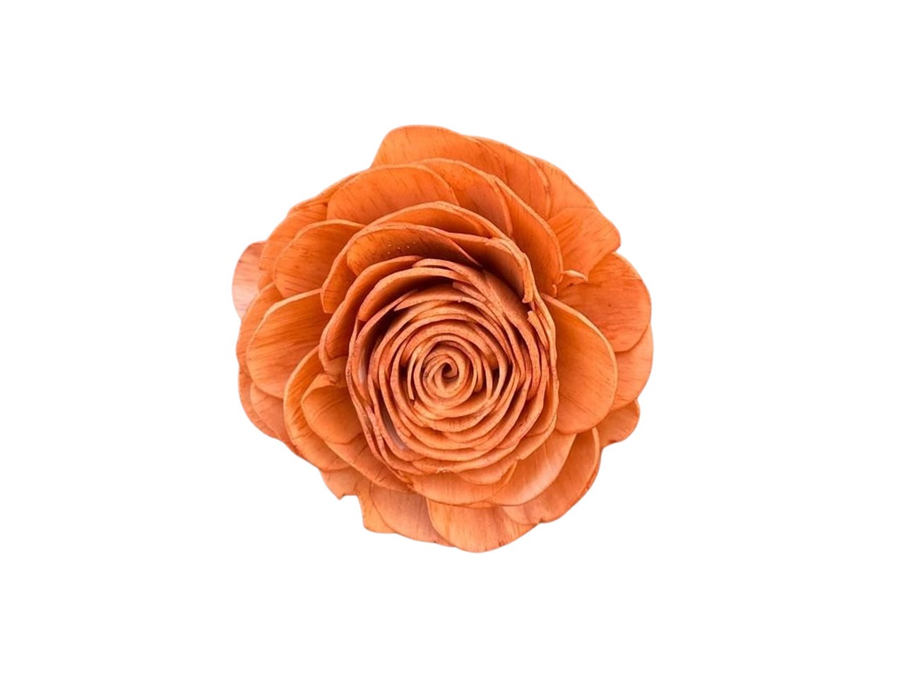 Rose Sola am Draht D8cm orange