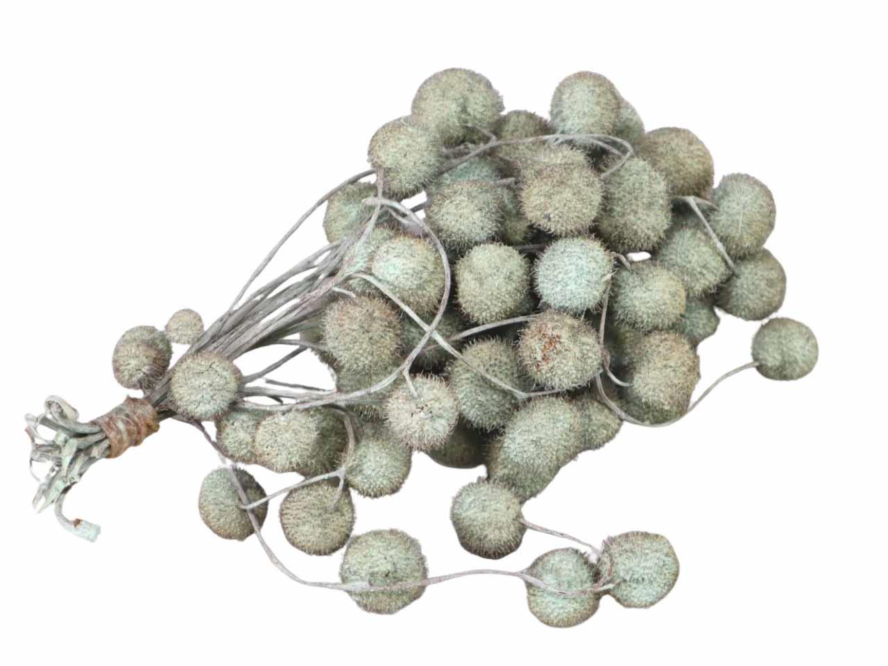 Plane ball 250gr. 1 Bündel apfelgrün (mintgrün) Plane ball 250gr. 1 Bündel apfelgrün (mintgrün)