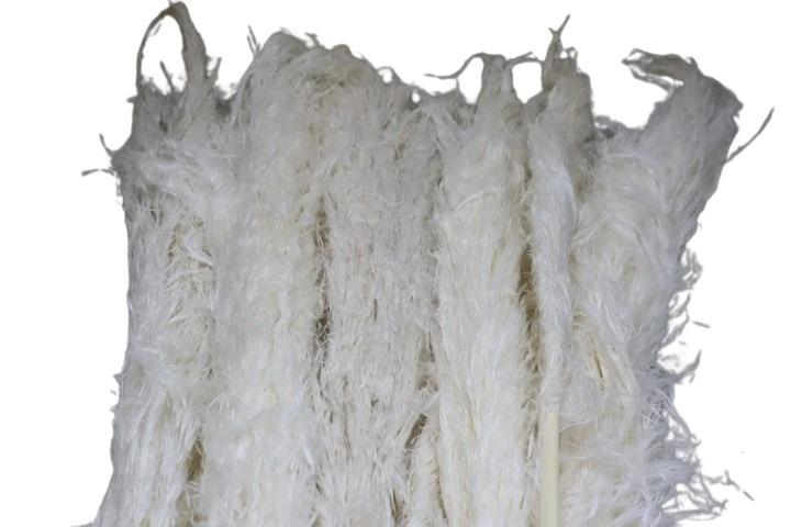 Pampas Afrika gebleicht