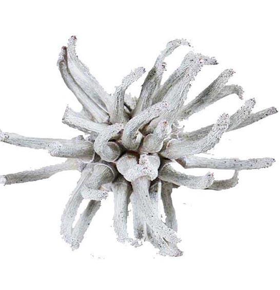 Spidergum white washed lose