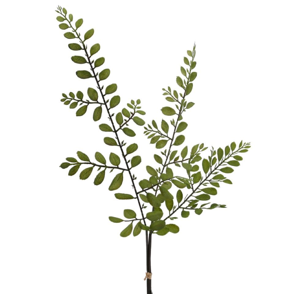 Blätterzweig 3er-Bund grün H67cm NETTO