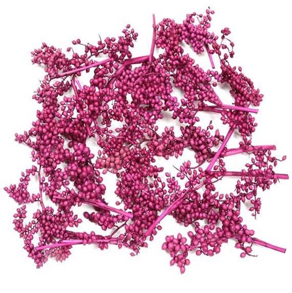 Canella spezial große Beeren erika