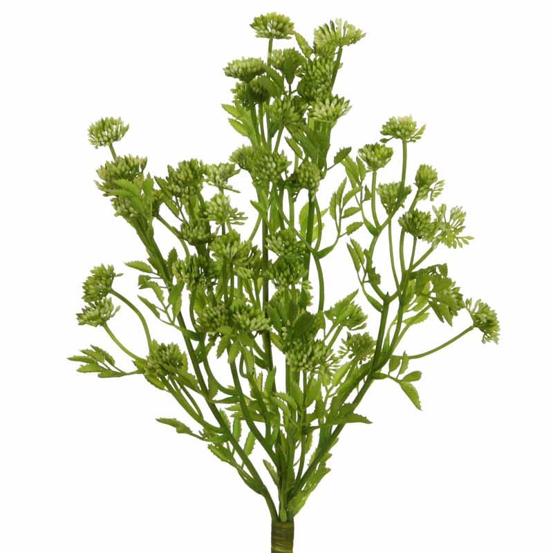 Dill Busch 40cm grün-creme Dill Busch 40cm grün-creme
