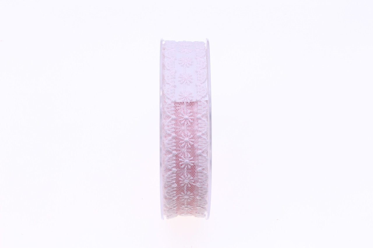 Band Brüssel 25 mm 10 Meter 107 rosa