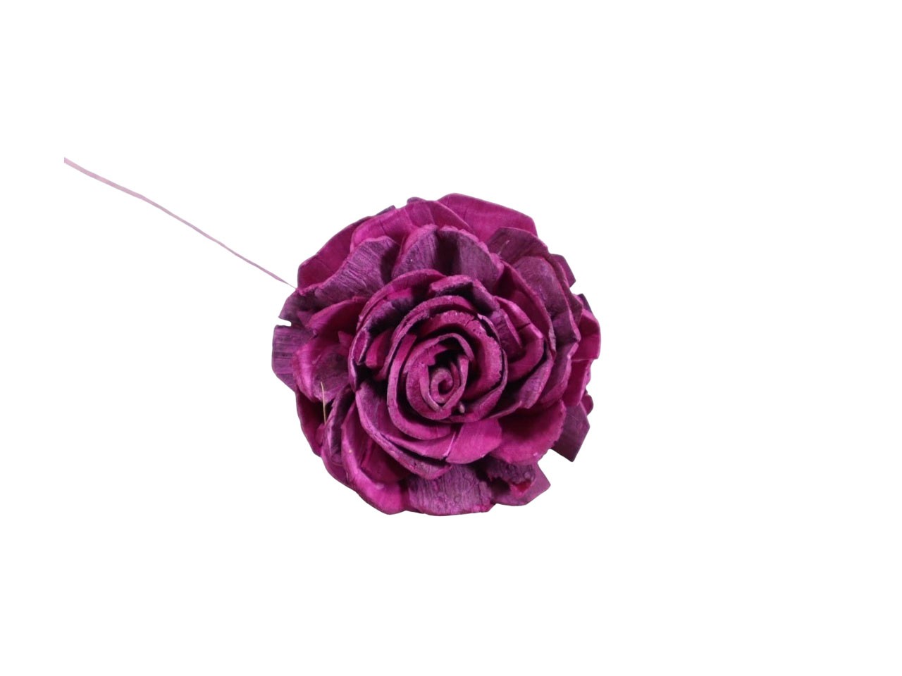 Rose Sola am Draht D6cm brombeer