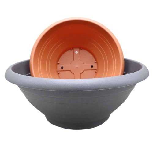 Schale Campana & Naxos