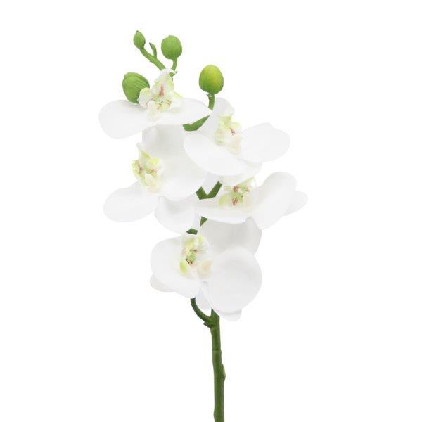 Phalaenopsis/Orchideenrispe H46cm creme