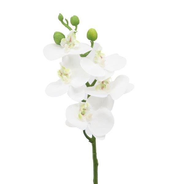 Phalaenopsis/Orchideenrispe H46cm creme Phalaenopsis/Orchideenrispe H46cm creme