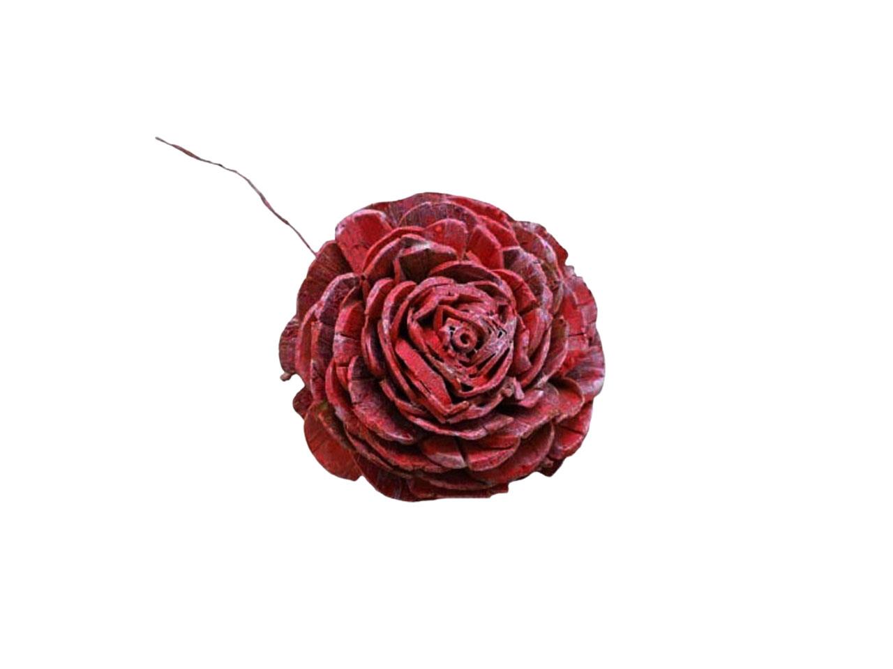 Rose Sola am Draht D6cm bordeaux