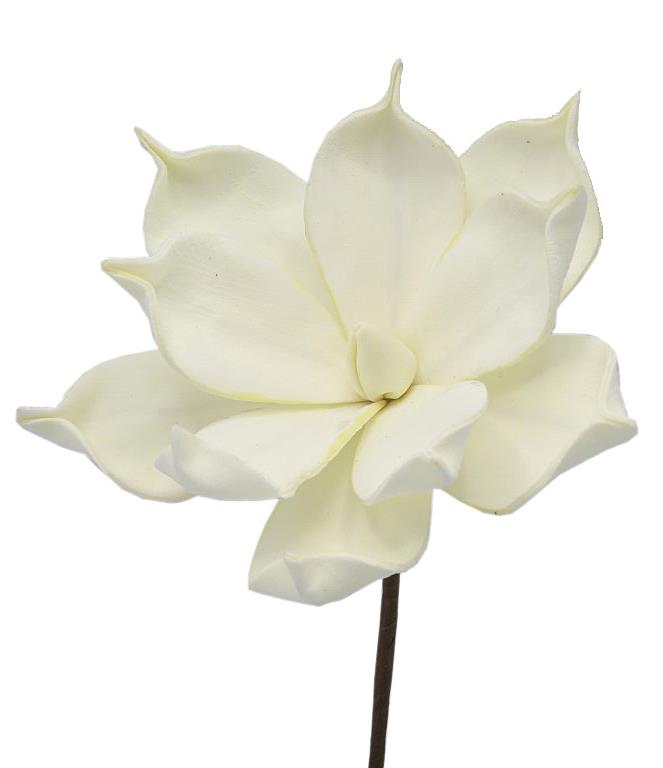 Magnolie Foam creme D18cm