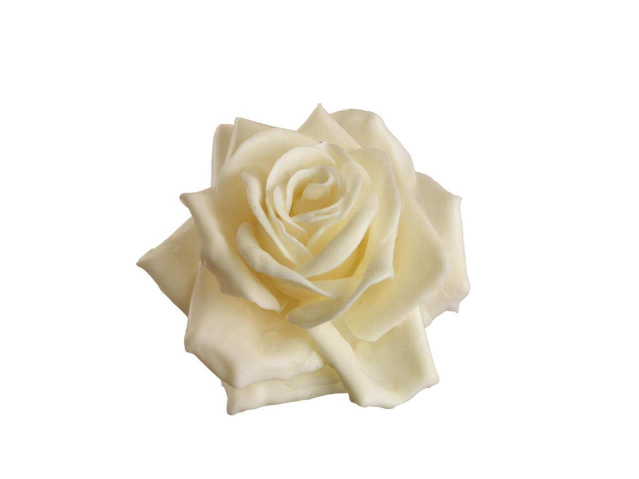 Rosenblüte Wachs 11cm creme in Holzbox