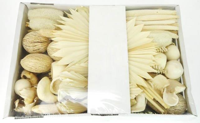 Exotensortiment indisch gebleicht großer Karton