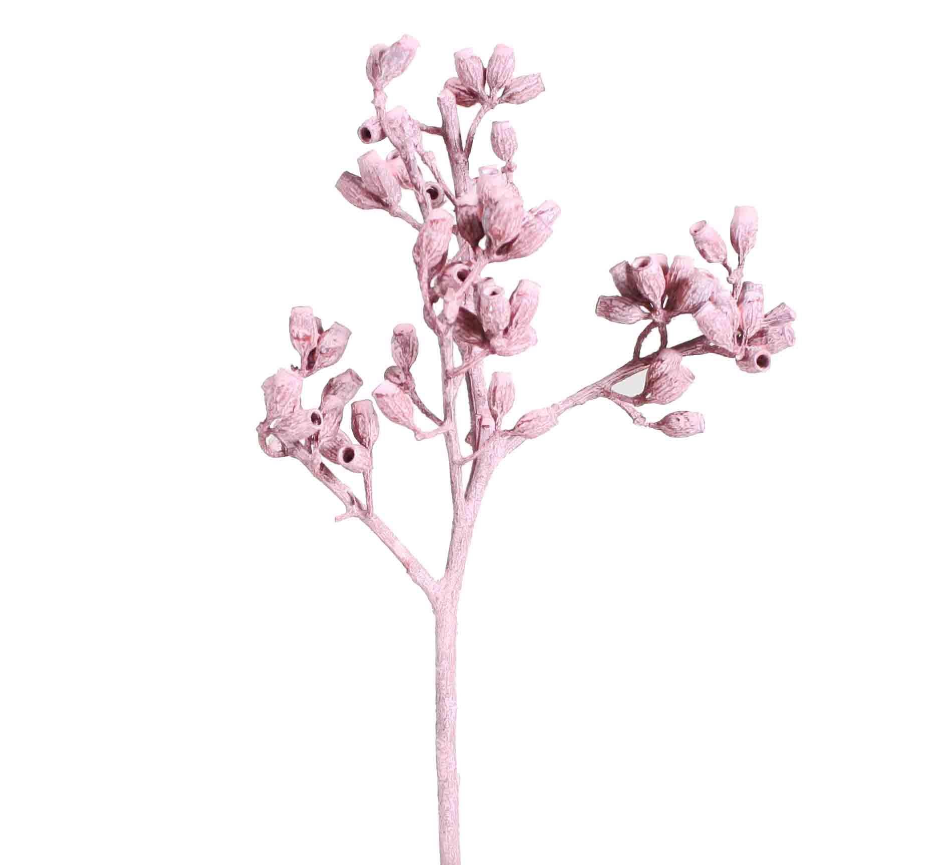 Eucalyptus Cluster Rispe L40-50cm altrosa frosted