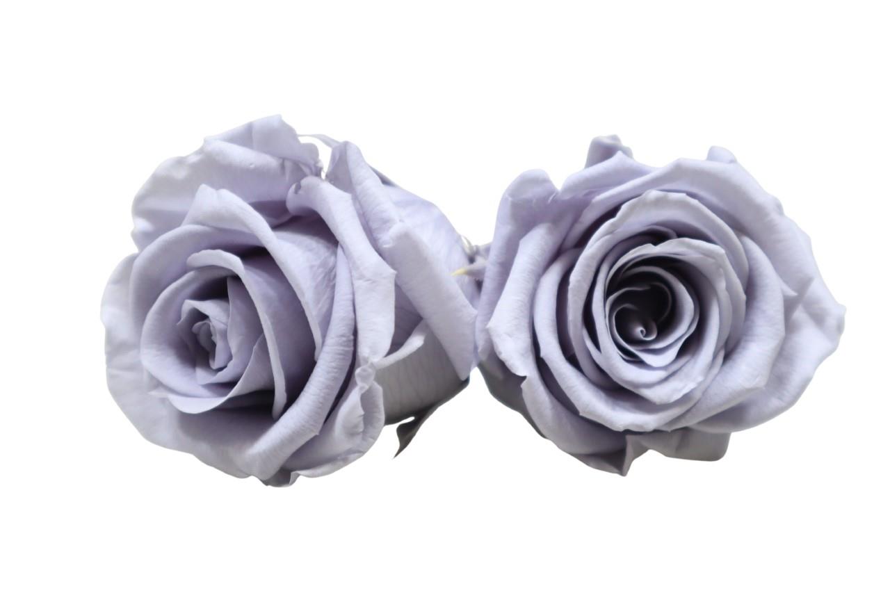 Rose stabilisiert H 5,5 cm D 5,5 cm silky grey NETTO