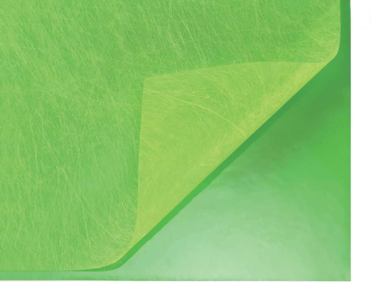 Rondella 50cm Vlies/Folie 25x2 SD751DLL grün -48