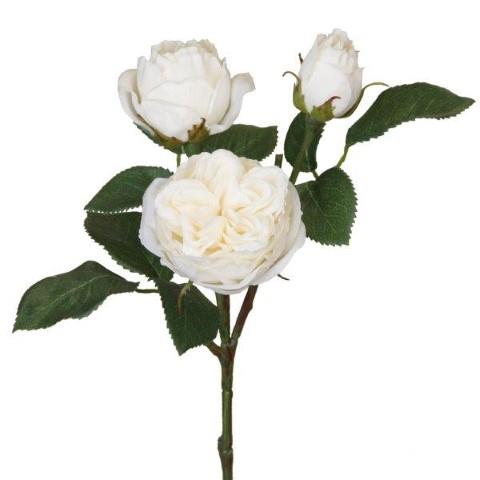 Rose Englisch 3 Blüten 41cm creme