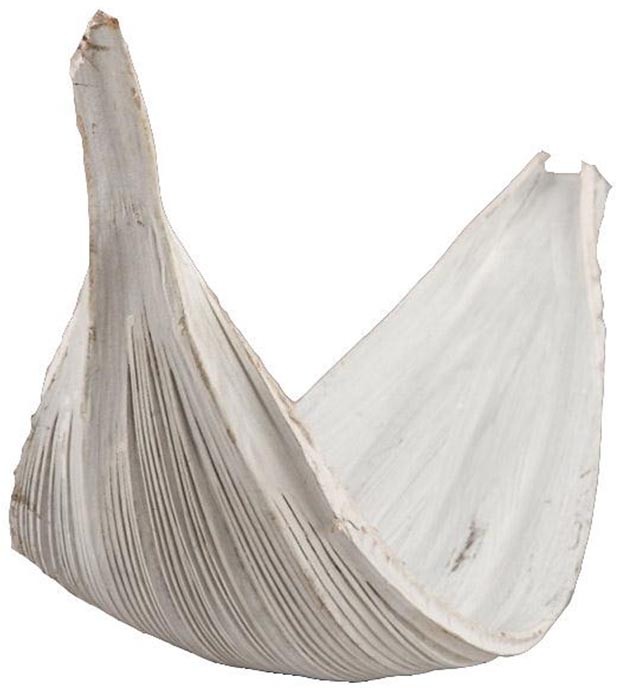 Cocosschale Galera 80-110cm white washed