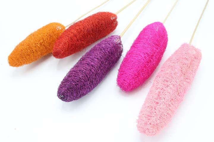 Luffa D4-6 H10-15cm gestielt farbig sortiert