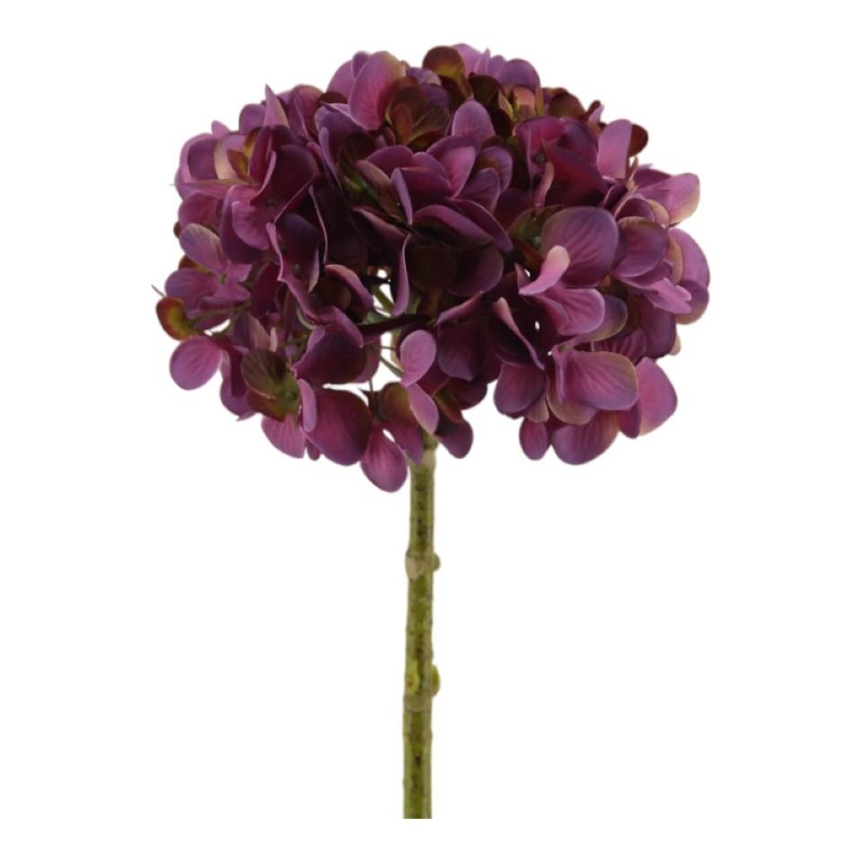 Hortensie purple H47cm